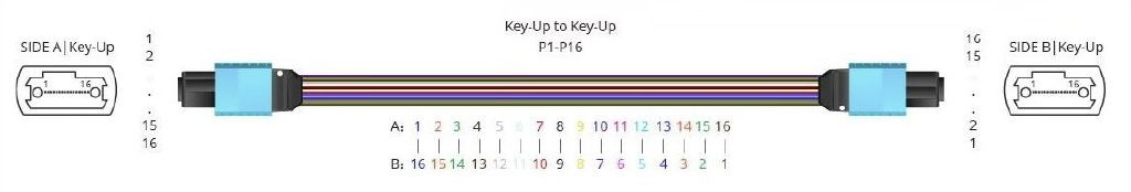 Connecteur fibre optique MPO-16
